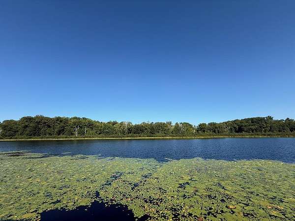 12 Acres of Recreational Land for Sale in Willow River, Minnesota