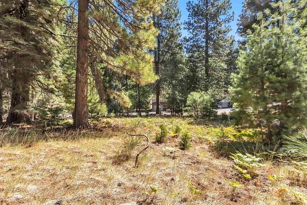 0.52 Acres of Land for Sale in Lake Almanor Country Club, California