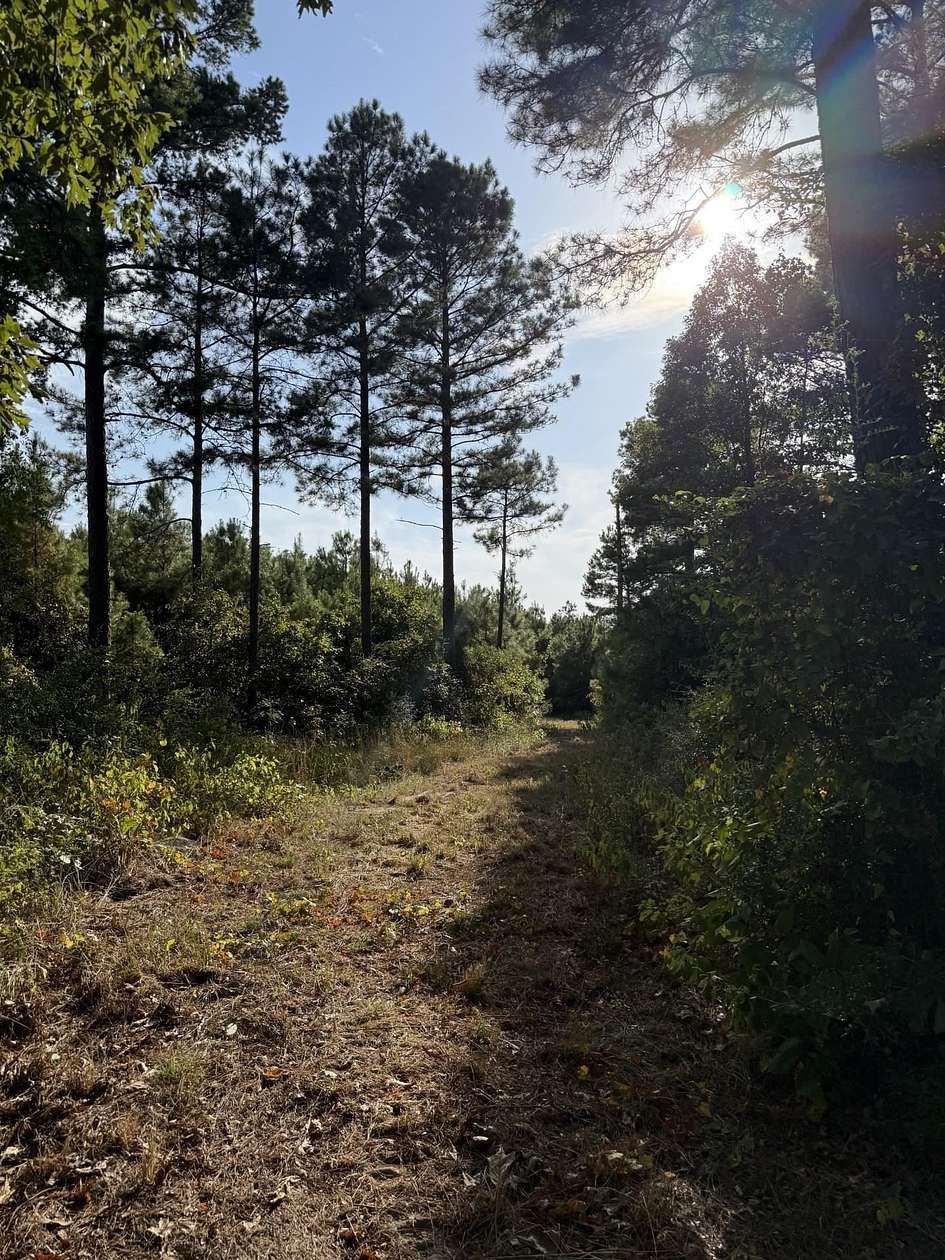 44.2 Acres of Recreational Land for Sale in Jefferson, Texas