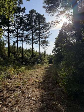 44.2 Acres of Recreational Land for Sale in Jefferson, Texas
