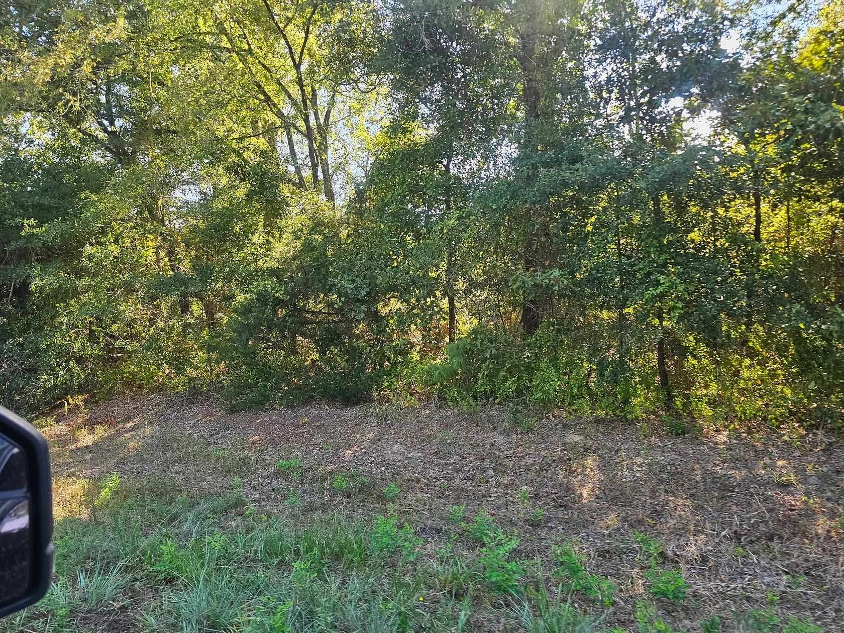 14.8 Acres of Land for Sale in Gilmer, Texas