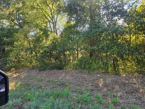 14.8 Acres of Land for Sale in Gilmer, Texas