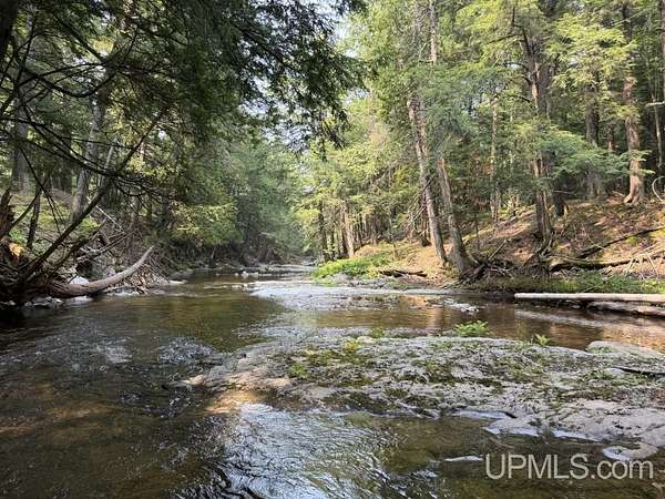 20 Acres of Recreational Land for Sale in Skanee, Michigan