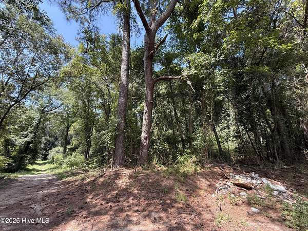 18 Acres of Recreational & Residential Land for Sale in Greenville, North Carolina