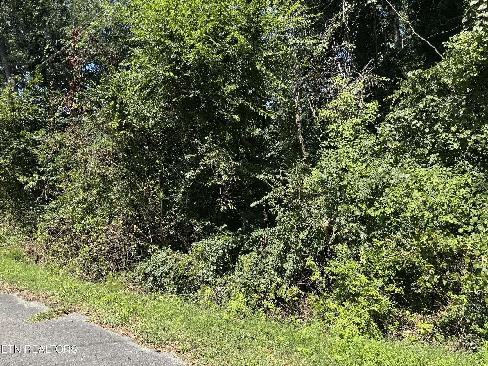 0.27 Acres of Residential Land for Sale in Etowah, Tennessee