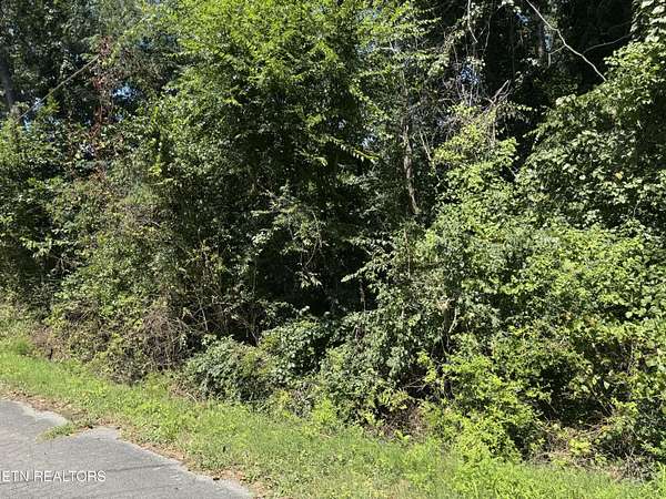 0.27 Acres of Residential Land for Sale in Etowah, Tennessee