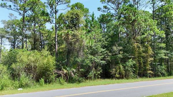 0.14 Acres of Residential Land for Sale in Panacea, Florida