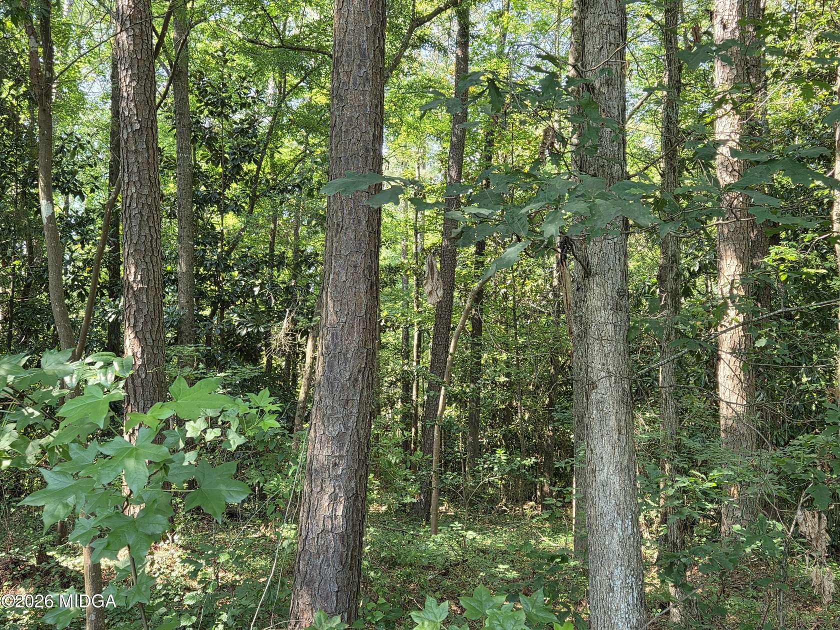 1.34 Acres of Residential Land for Sale in Macon, Georgia