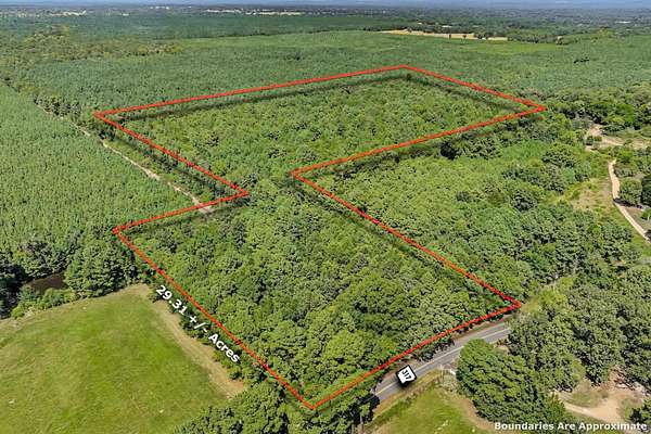 29.3 Acres of Recreational & Residential Land for Sale in Lockesburg, Arkansas