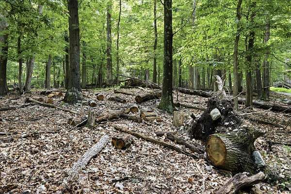 0.4 Acres of Land for Sale in Harpers Ferry, West Virginia