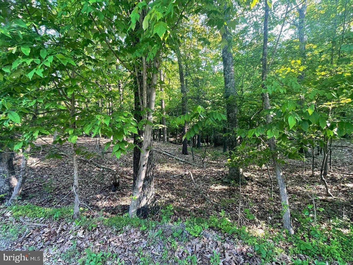 1.22 Acres of Residential Land for Sale in Berkeley Springs, West Virginia