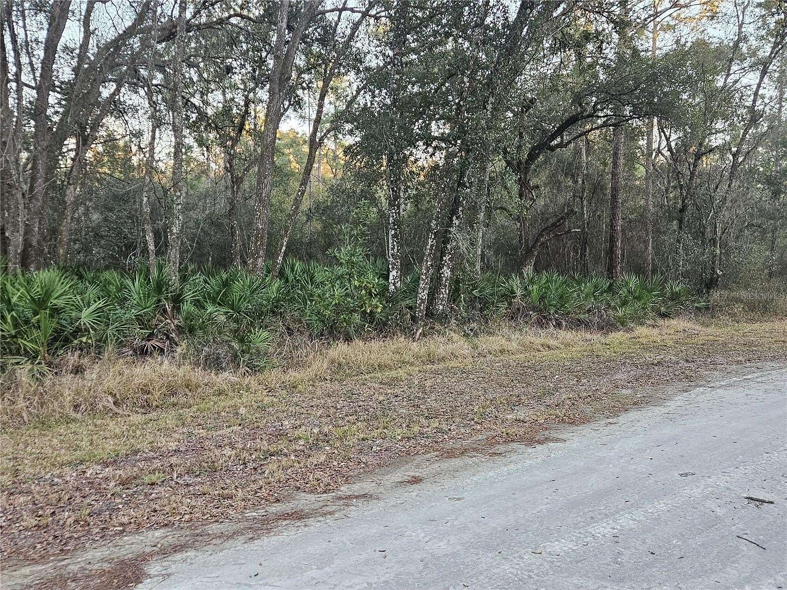 0.98 Acres of Residential Land for Sale in Webster, Florida