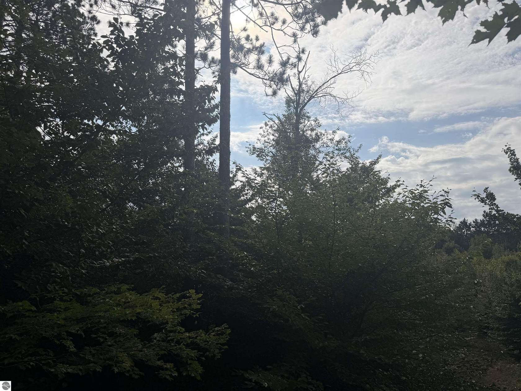 5 Acres of Land for Sale in Benzonia, Michigan