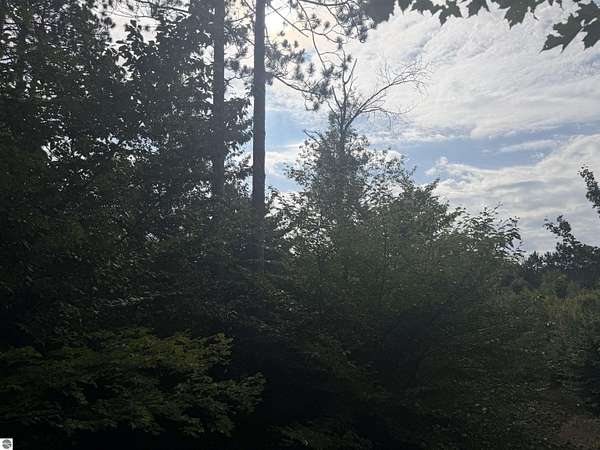 5 Acres of Land for Sale in Benzonia, Michigan