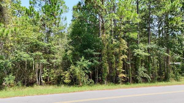 0.14 Acres of Residential Land for Sale in Panacea, Florida