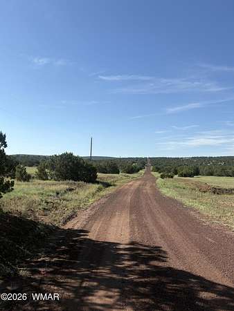 10 Acres of Recreational & Residential Land for Sale in Concho, Arizona