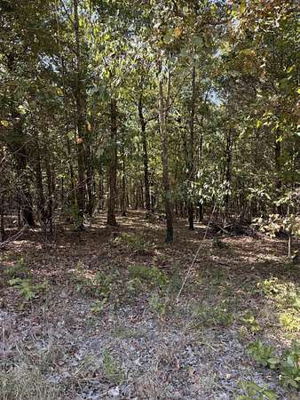 2.39 Acres of Residential Land for Sale in Paragould, Arkansas