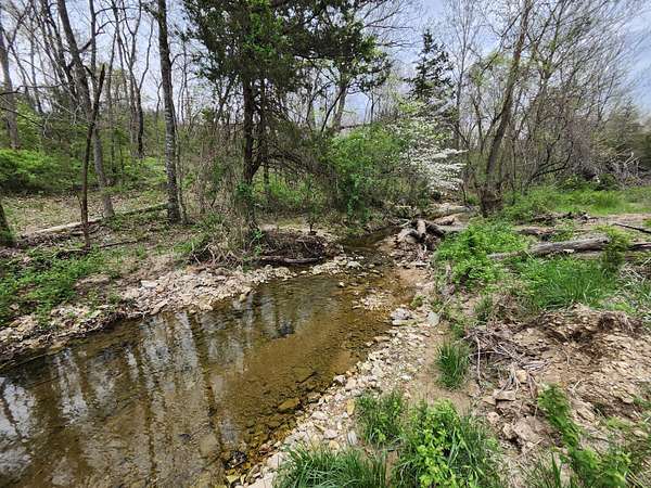 151 Acres of Agricultural Land for Sale in Mountain Grove, Missouri
