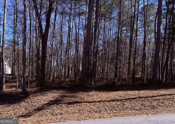 0.24 Acres of Residential Land for Sale in Villa Rica, Georgia