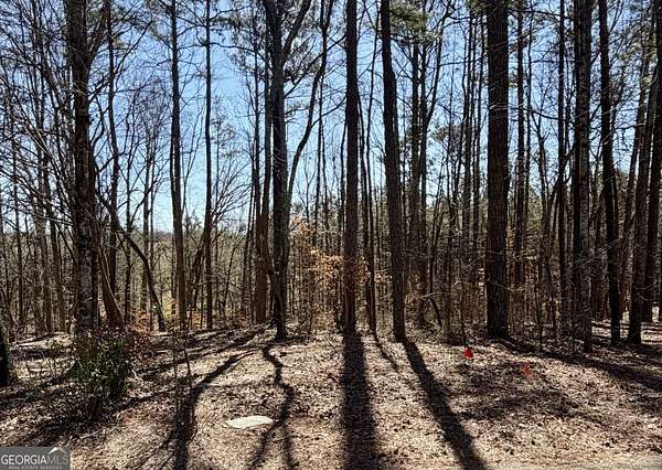 0.5 Acres of Residential Land for Sale in Villa Rica, Georgia