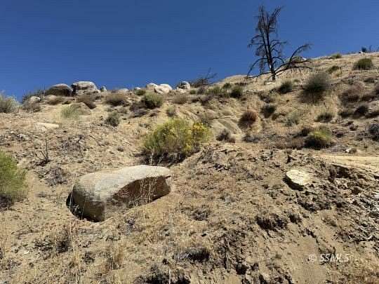 40 Acres of Agricultural Land for Sale in Caliente, California