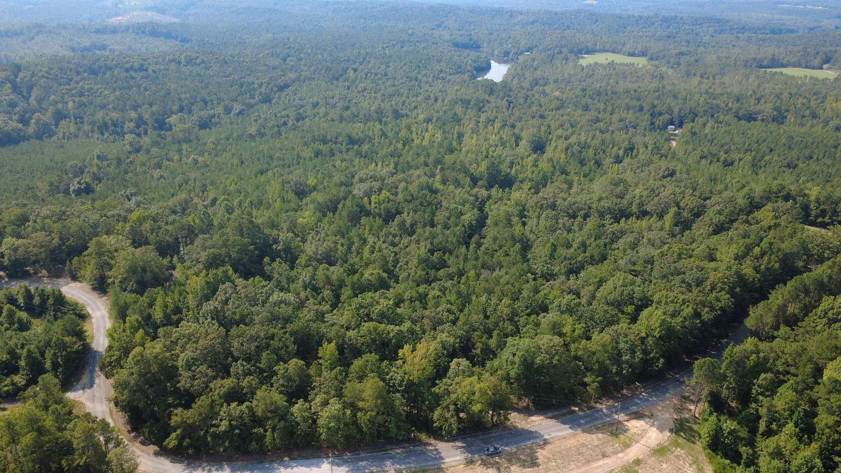 31 Acres of Land for Sale in Vernon, Alabama