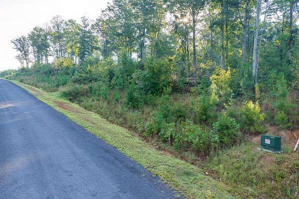 2 Acres of Residential Land for Sale in Talking Rock, Georgia