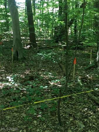 3.2 Acres of Residential Land for Sale in Mantua, Ohio