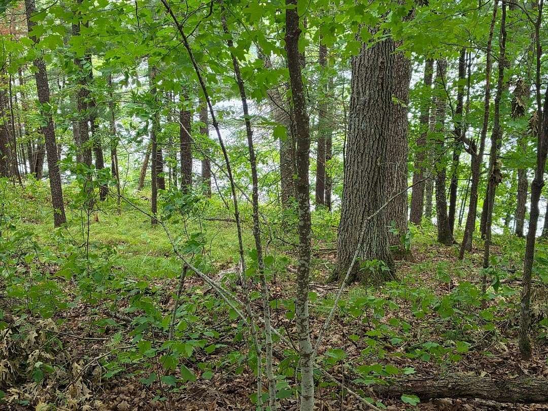 1 Acre of Residential Land for Sale in Cumberland, Wisconsin