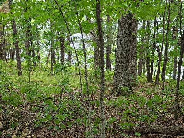 1 Acre of Residential Land for Sale in Cumberland, Wisconsin