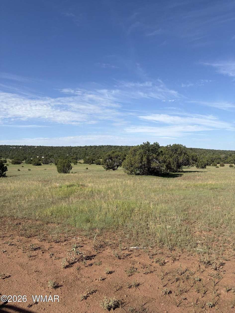 5 Acres of Residential Land for Sale in Concho, Arizona