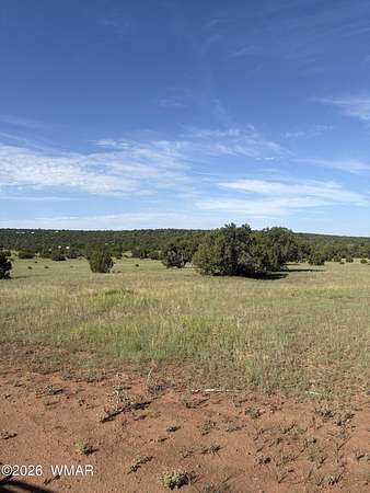 5 Acres of Residential Land for Sale in Concho, Arizona