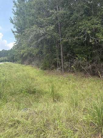 5 Acres of Residential Land for Sale in Brewton, Alabama