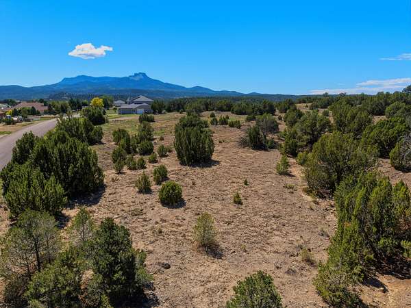 0.83 Acres of Land for Sale in Trinidad, Colorado