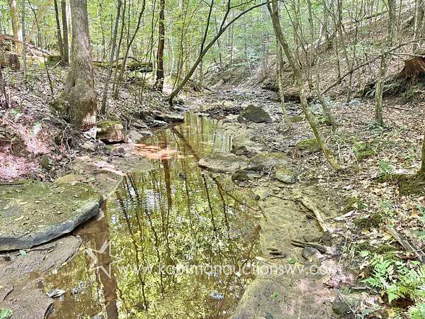 199 Acres of Recreational Land for Auction in Bomont, West Virginia