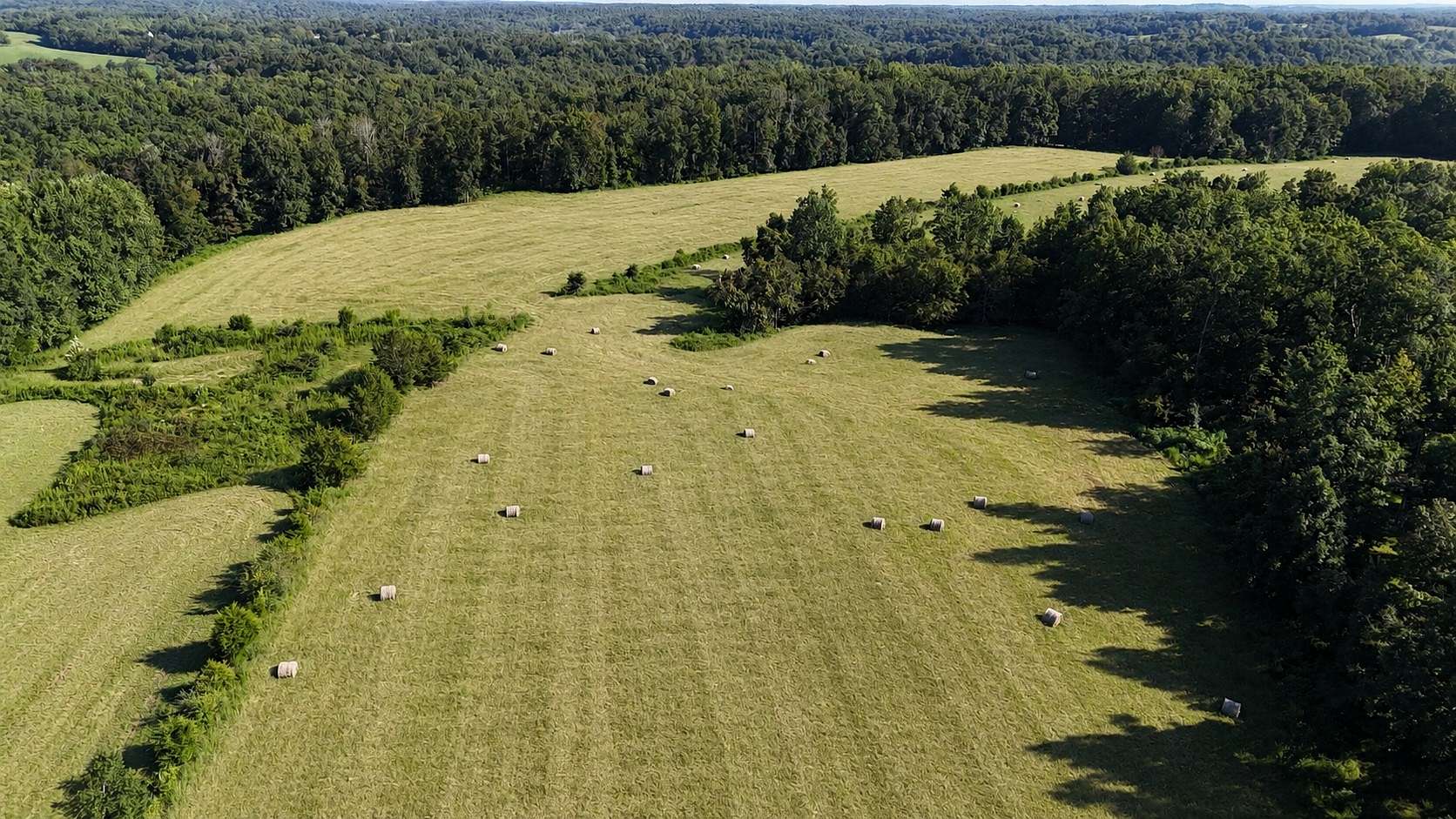 63 Acres of Land for Sale in Primm Springs, Tennessee