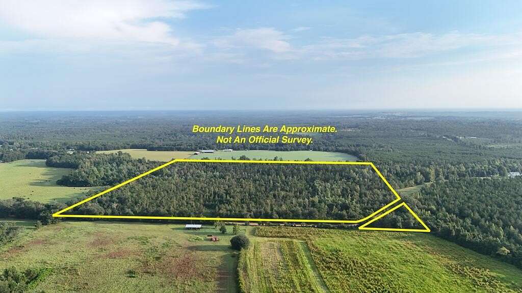 40 Acres of Land for Sale in Grand Ridge, Florida