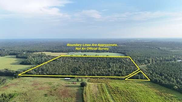 40 Acres of Land for Sale in Grand Ridge, Florida