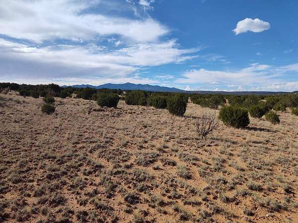 40 Acres of Recreational & Residential Land for Sale in Mountainair, New Mexico