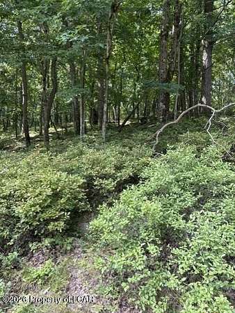 0.52 Acres of Residential Land for Sale in Wilkes-Barre, Pennsylvania