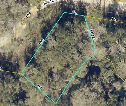 0.32 Acres of Residential Land for Sale in Webster, Florida