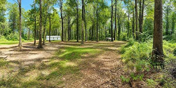 9 Acres of Land with Home for Sale in Carriere, Mississippi