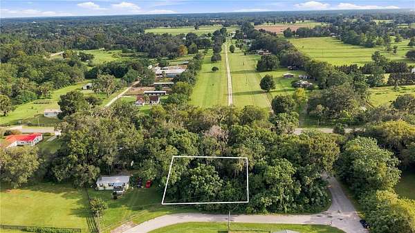 0.29 Acres of Residential Land for Sale in Summerfield, Florida
