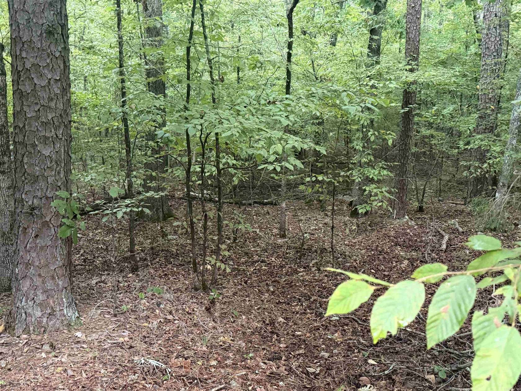 0.34 Acres of Residential Land for Sale in Hot Springs Village, Arkansas