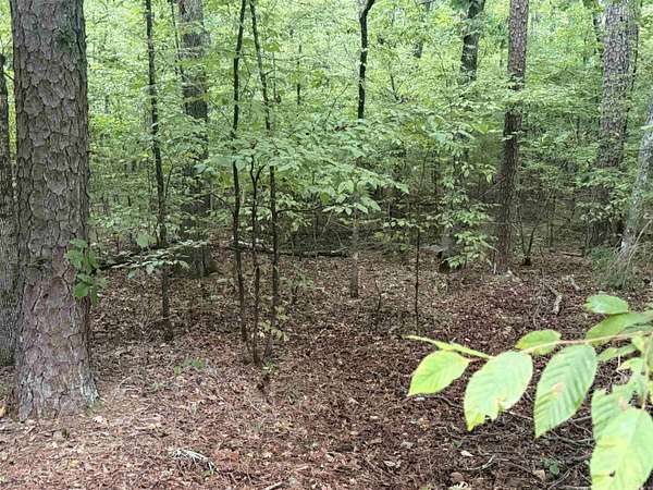 0.34 Acres of Residential Land for Sale in Hot Springs Village, Arkansas