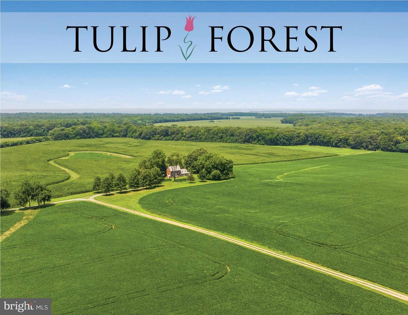 1,054 Acres of Improved Land for Sale in Chestertown, Maryland
