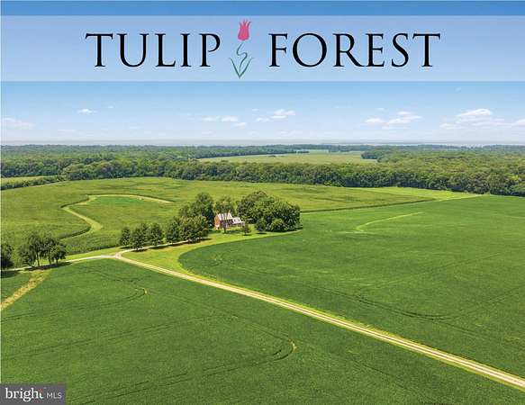 1,054 Acres of Improved Land for Sale in Chestertown, Maryland
