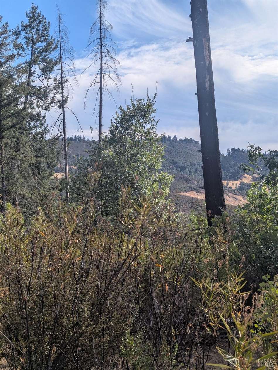 40 Acres of Recreational & Residential Land for Sale in Potter Valley, California