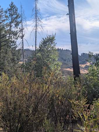 40 Acres of Recreational & Residential Land for Sale in Potter Valley, California