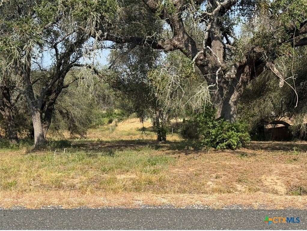 0.54 Acres of Residential Land for Sale in Elmendorf, Texas